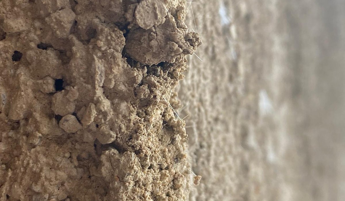 Screed and Plaster Applications